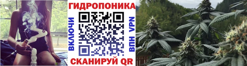 Каннабис конопля  Жердевка 